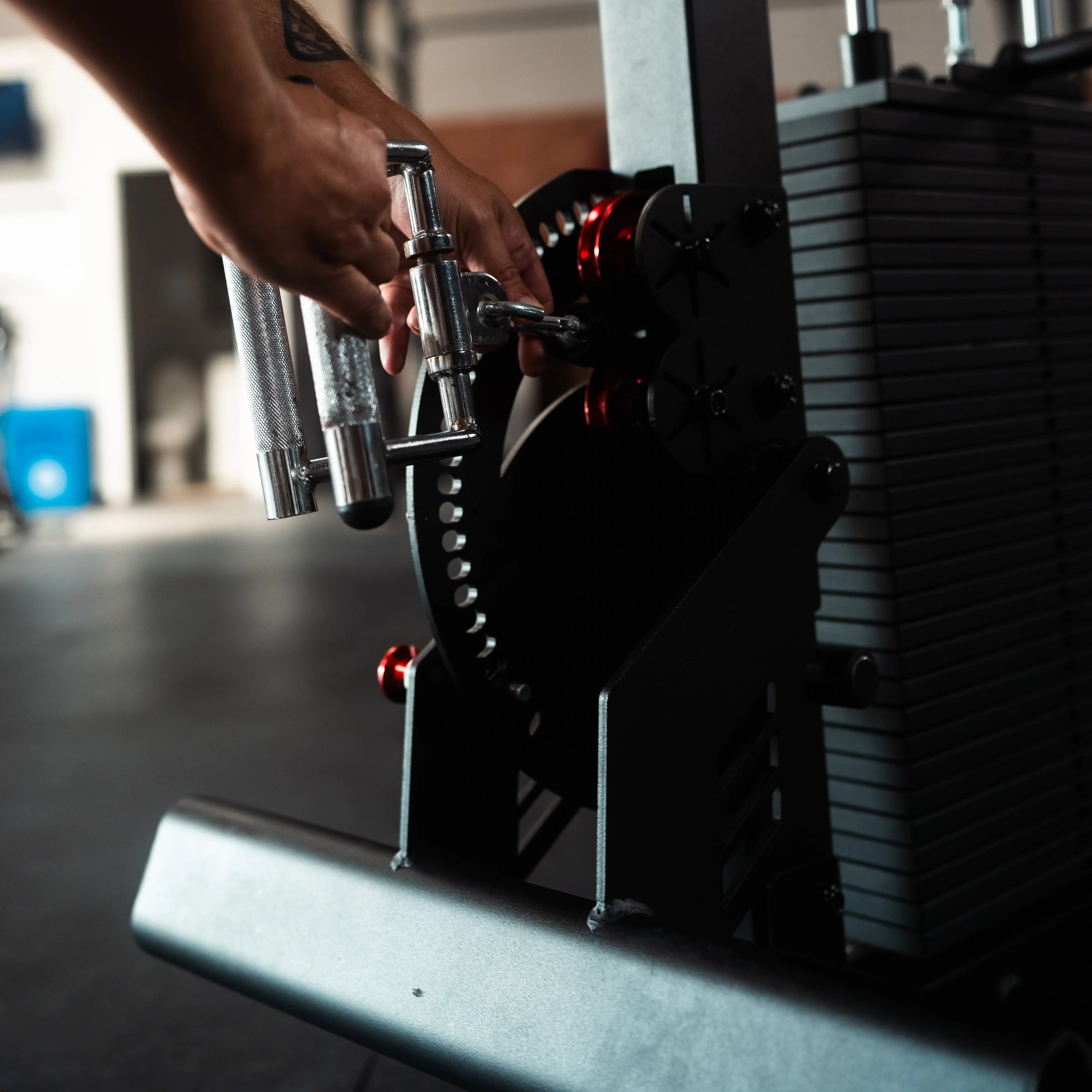 The Walrus: Single Tower Low Row & Lat Pulldown