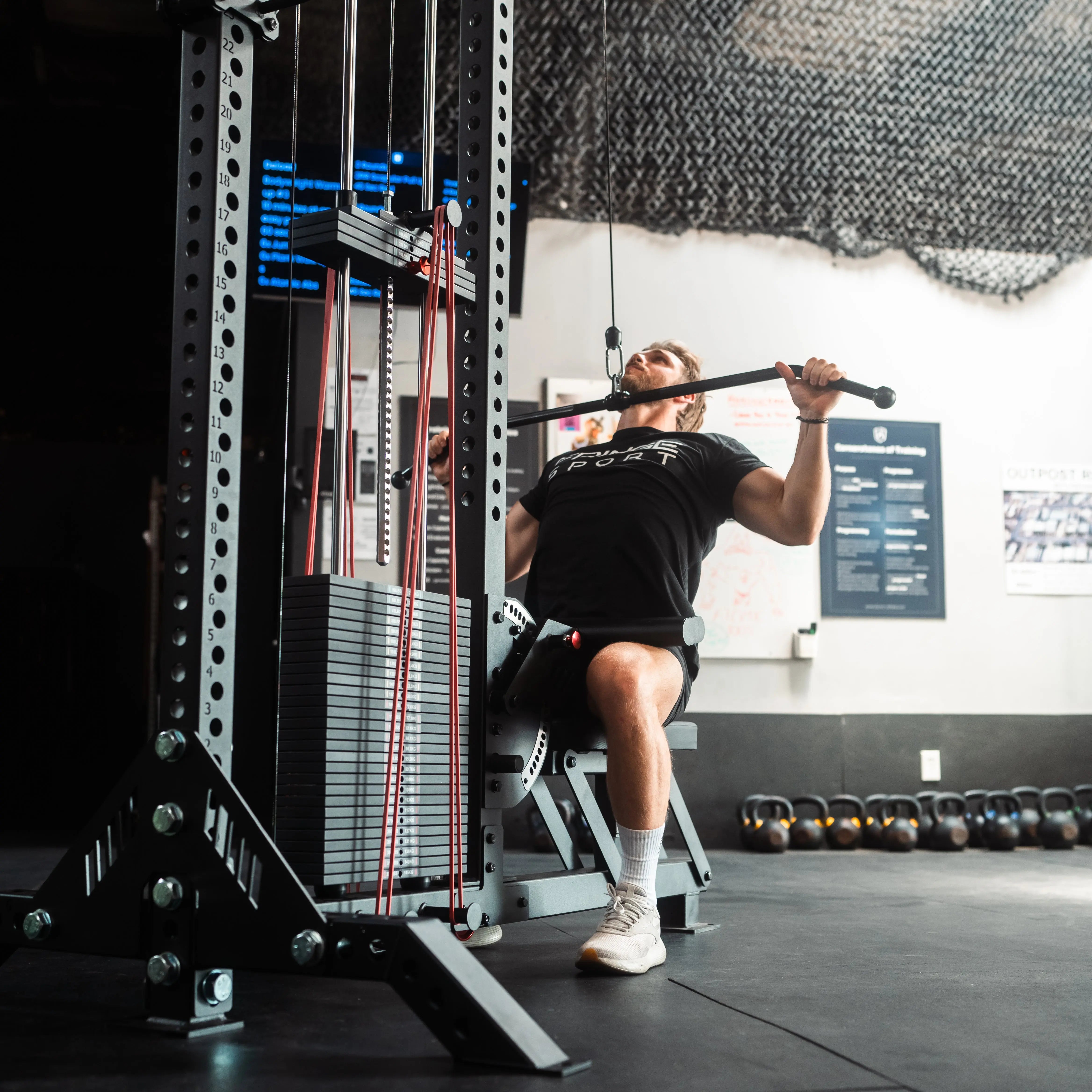 The Walrus: Single Tower Low Row & Lat Pulldown