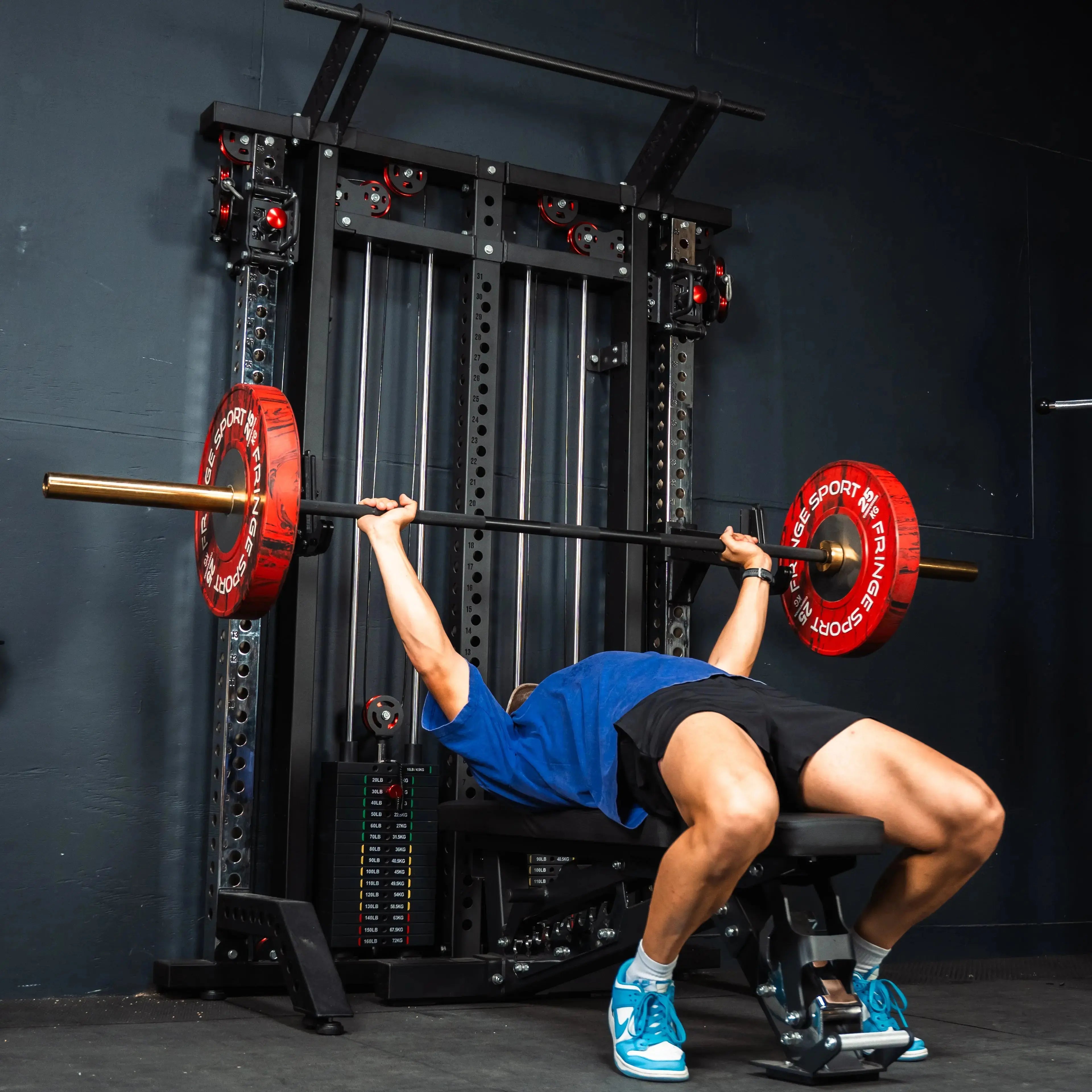 Slim Gym Wall Mounted Functional Trainer