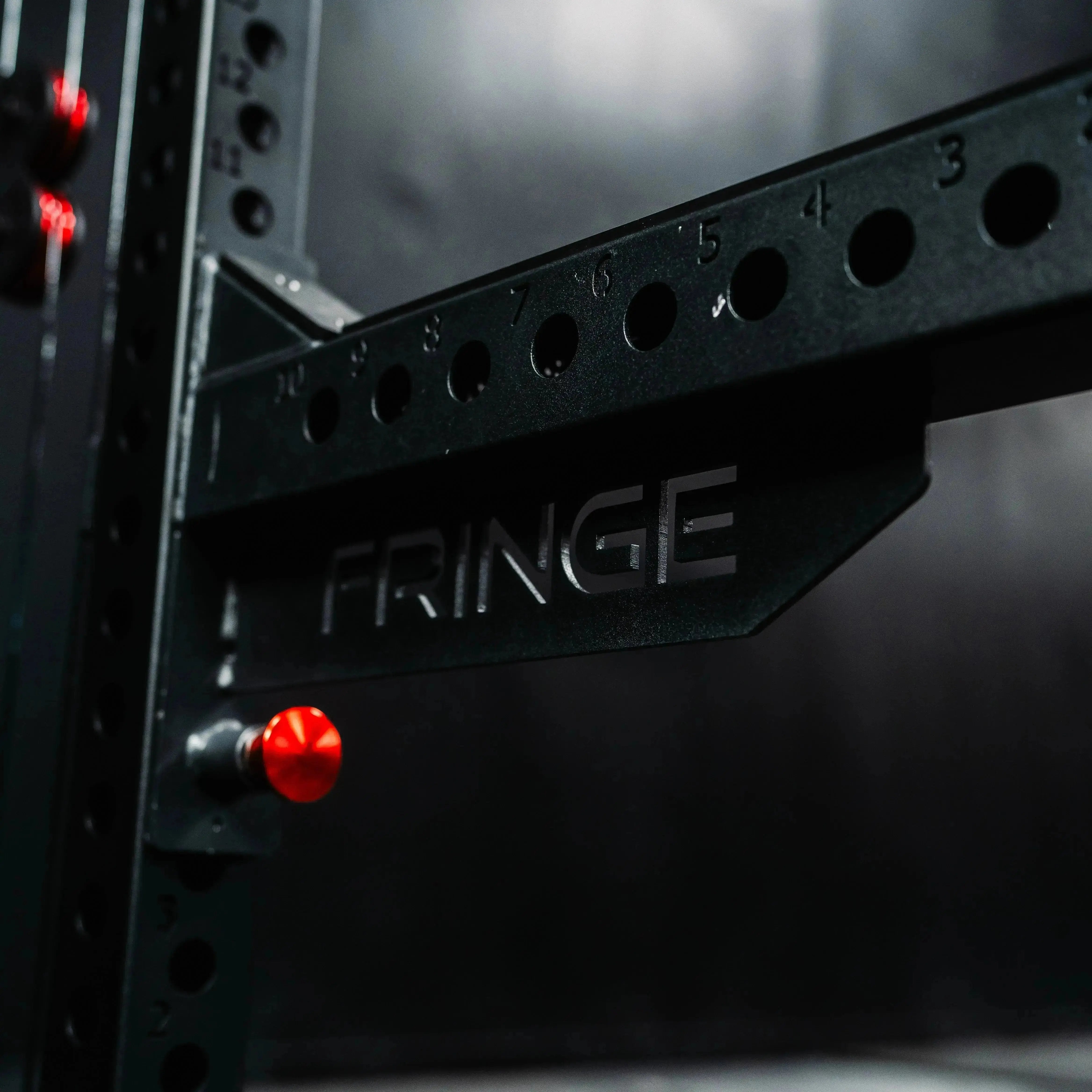 The Dane 2.0 - FULLY LOADED