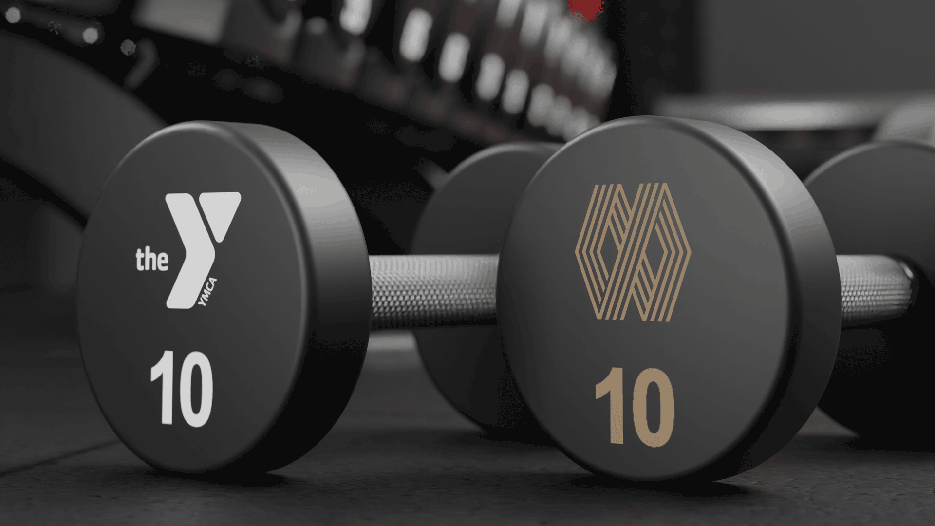 EZ Curl Barbell