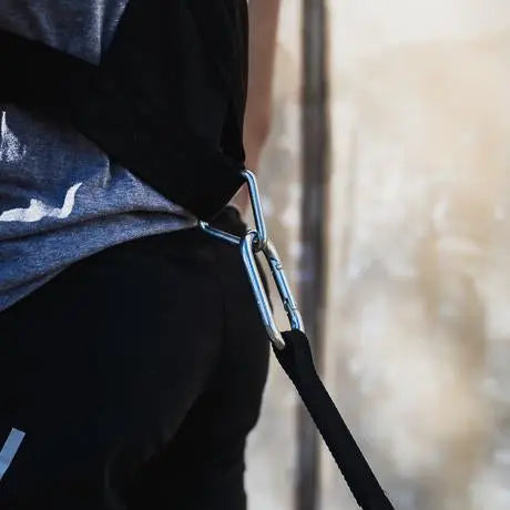 Universal Sled Harness