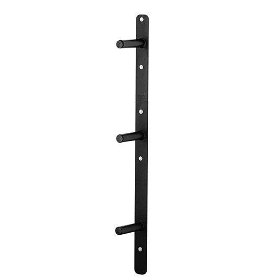 PRx Weight Plate Storage mounted beside a squat rack
