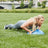 SPORT Balance Trainer - 50cm