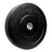 PRx Crumb Rubber Bumper Plates pair