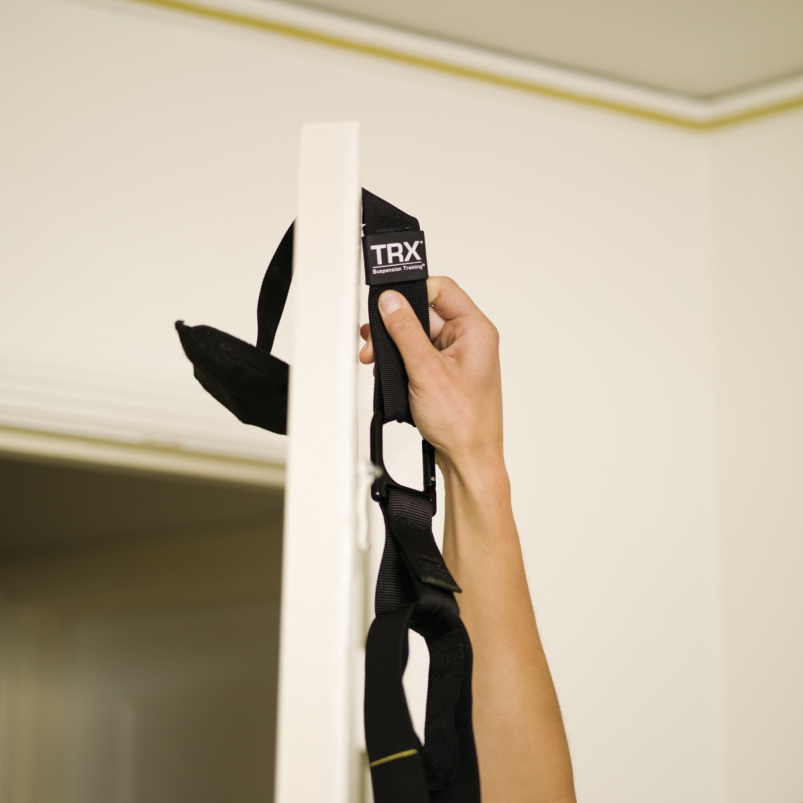 TRX DOOR ANCHOR - Commercial Partners