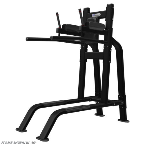 ノーチラスインスピレーションディップ/レッグレイズ