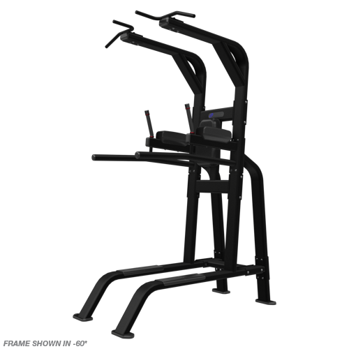 Nautilus Inspiration Pull-Up/ Dip/ Leg Raise