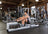 WaterRower M1 LoRise Rowing Machine with S4 BLE Monitor