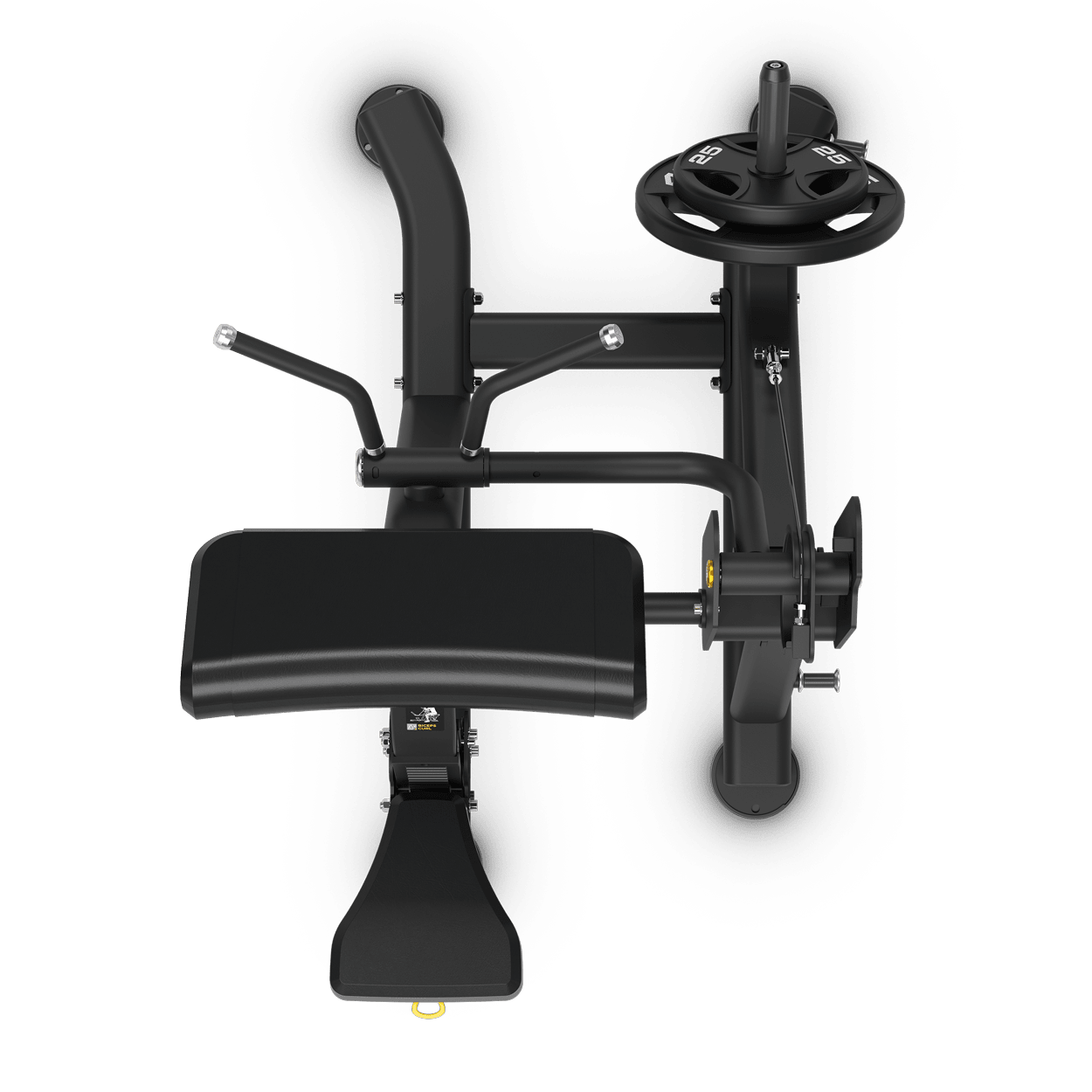 Vision Keystone Biceps Curl