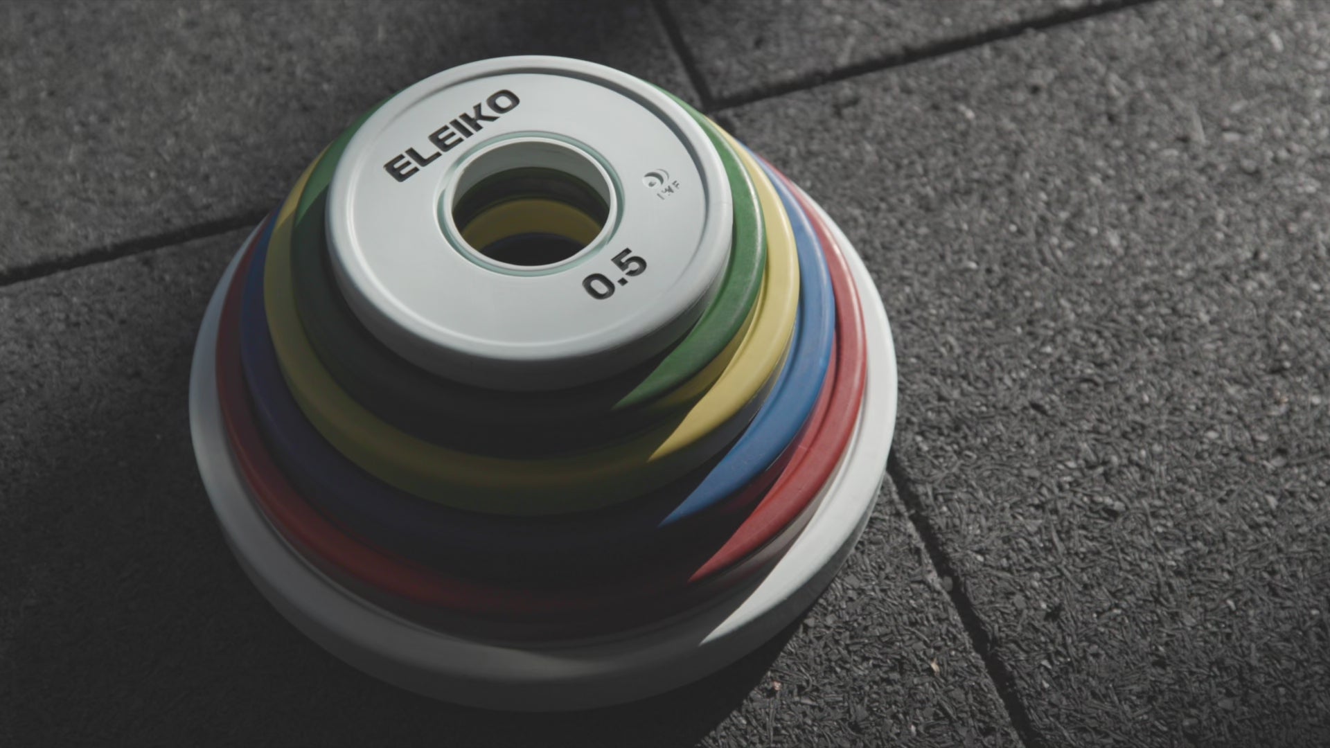 Sport Training Plate, 25 kg, coloured