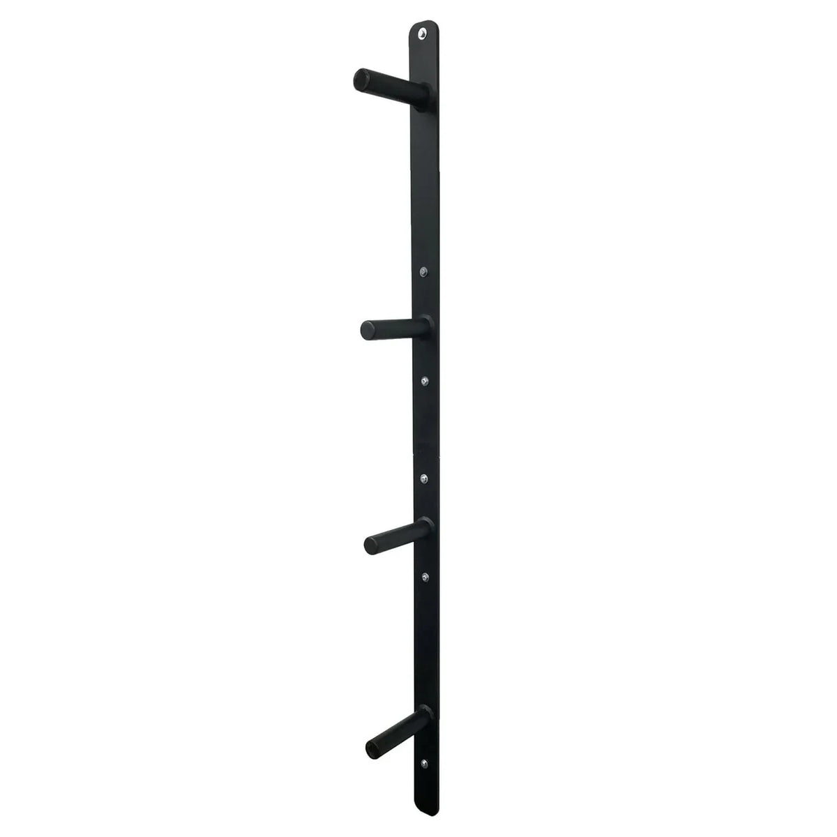 PRx wall mounted weight plate storage with a full plate set