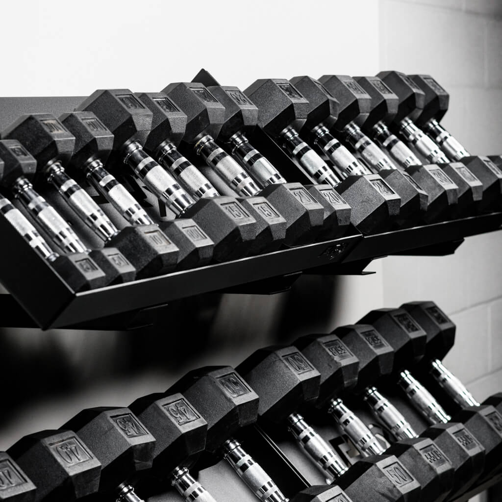 PRx wall-mount dumbbell shelf mounted at an angle with dumbbells loaded